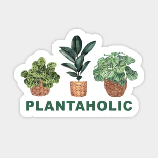 Plantaholic House Plants Illustration 4 Sticker